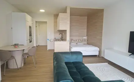 Pronájem bytu 1+kk 40 m², U Hájenky, Ostrava - Slezská Ostrava