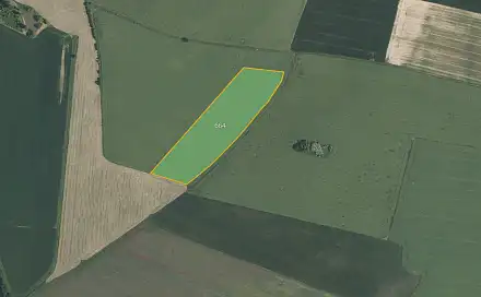 Prodej pole 7 681 m², Mirovice - Plíškovice, okres Písek