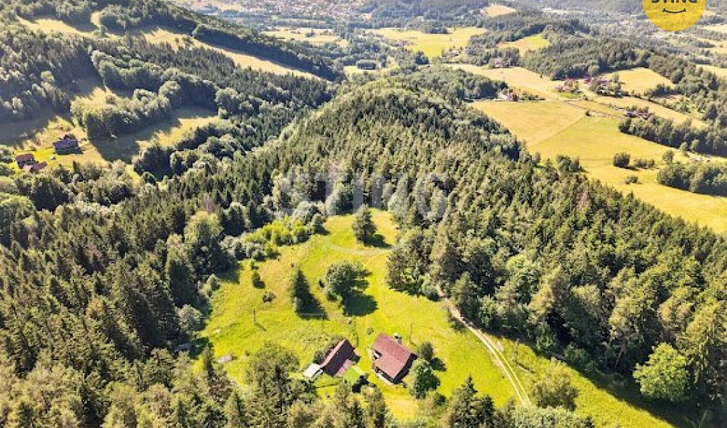 Prodej domu 2 989 m² s pozemkem 17 580 m², Hutisko-Solanec – náhled fotky 9