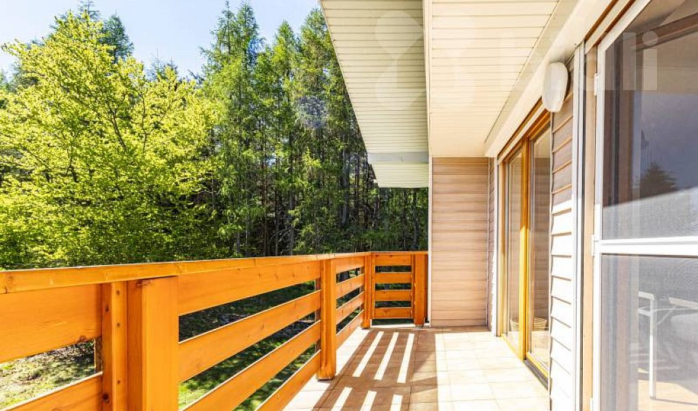 Prodej domu 250 m² s pozemkem 11 733 m², Kolinec – náhled fotky 32