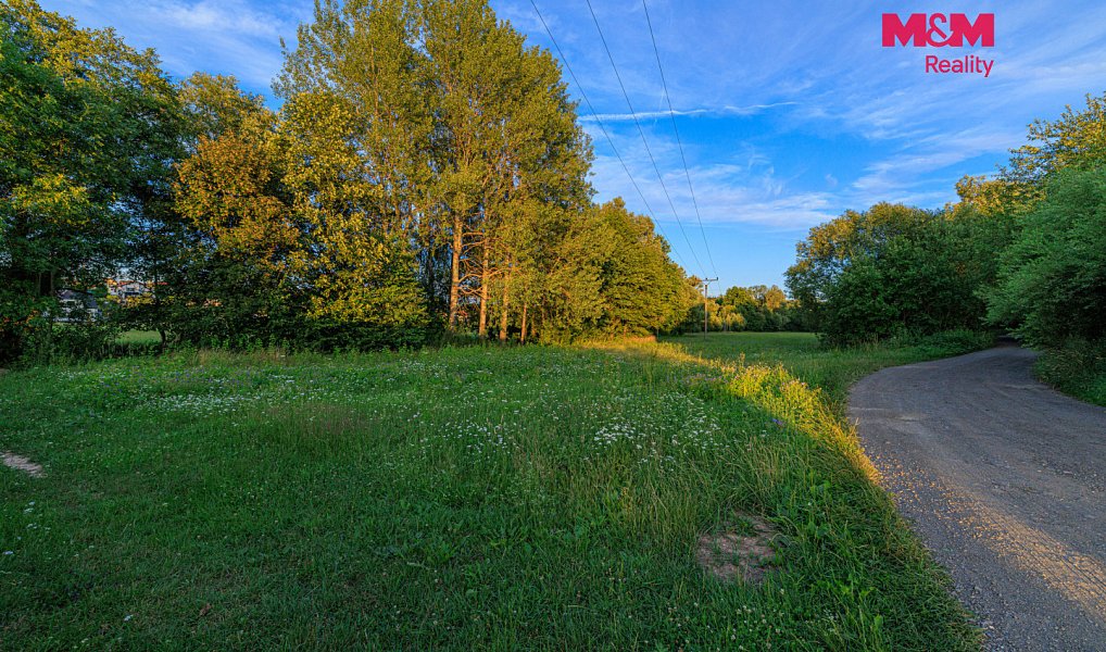 Prodej louky 4 590 m², Horní Bříza – náhled fotky 15
