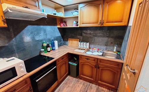 Pronájem bytu 1+1 50 m², Dobrovského, Chomutov