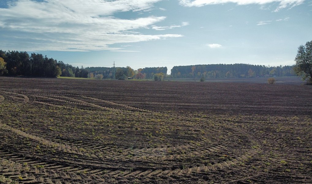Prodej pole 49 992 m², Řípec – náhled fotky 5