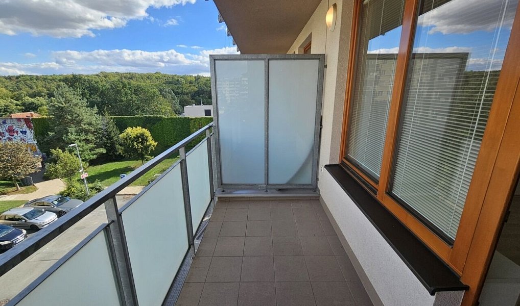 Pronájem bytu 2+kk 65 m², Praha – náhled fotky 24