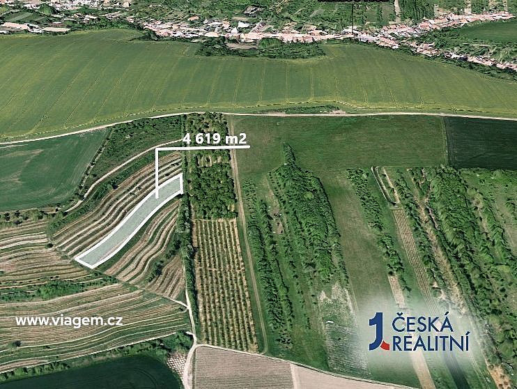 Prodej pole 4 619 m² – fotografie 2