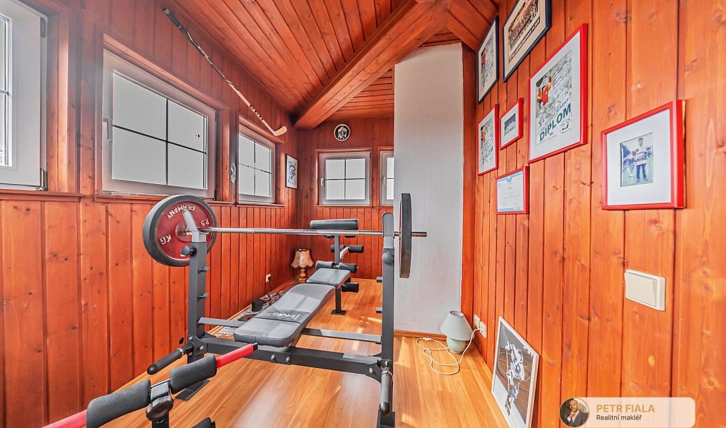 Prodej domu 305 m² s pozemkem 1 174 m², Plzeň – náhled fotky 26
