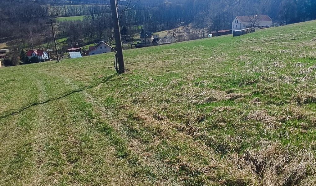 Prodej stavebního pozemku 1 146 m², Heřmanov – náhled fotky 8