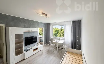 Pronájem bytu 1+1 28 m²