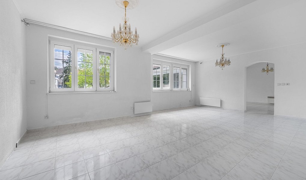 Prodej domu 289 m² s pozemkem 3 375 m², Družec – náhled fotky 5