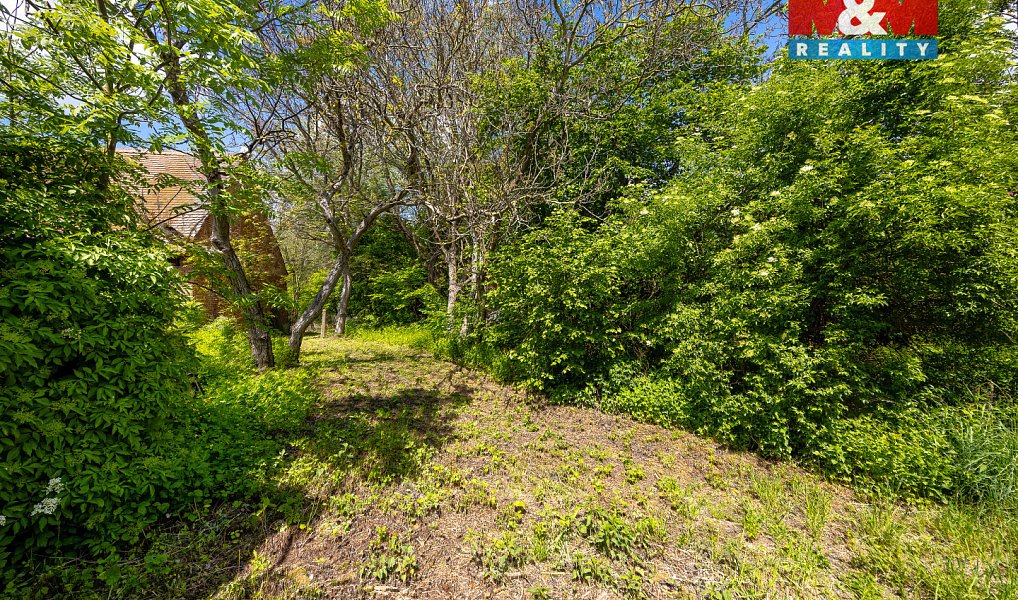 Prodej domu 330 m² s pozemkem 43 267 m², Moravany – náhled fotky 25
