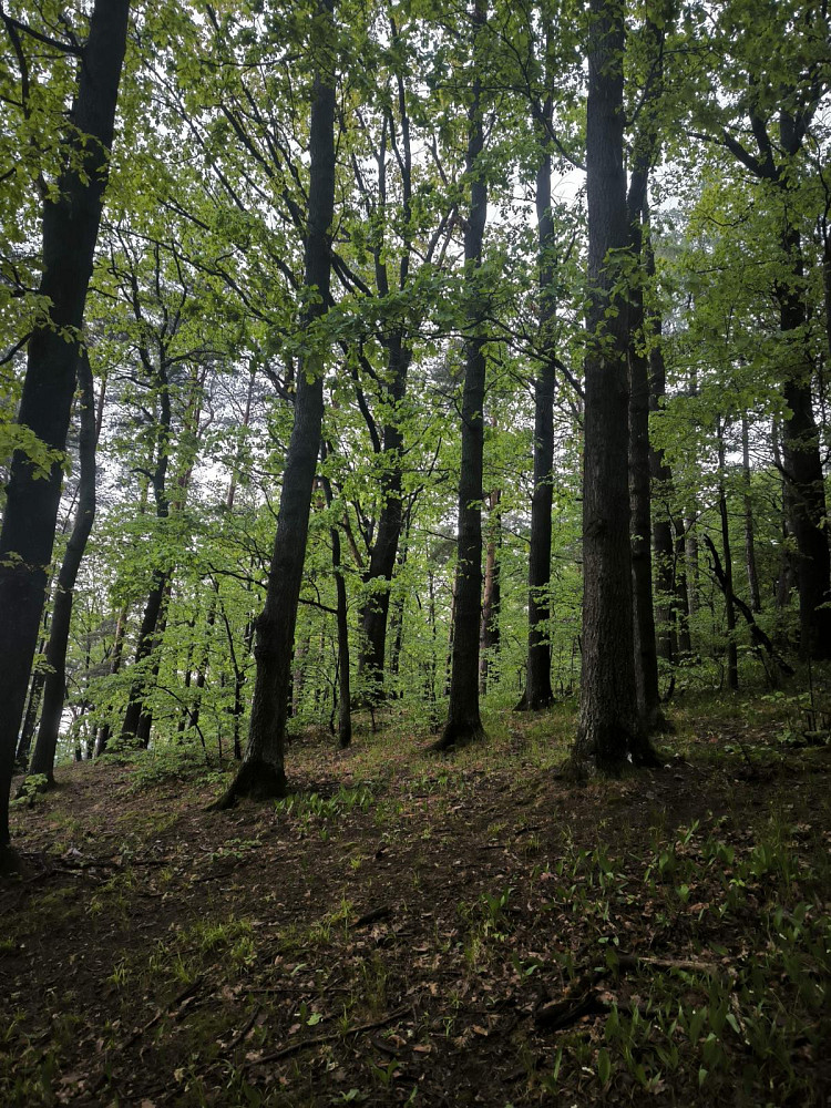 Fotka 10 z 15