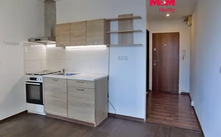 Pronájem bytu 2+1 53 m², Picassova, Ústí nad Labem - Mojžíř