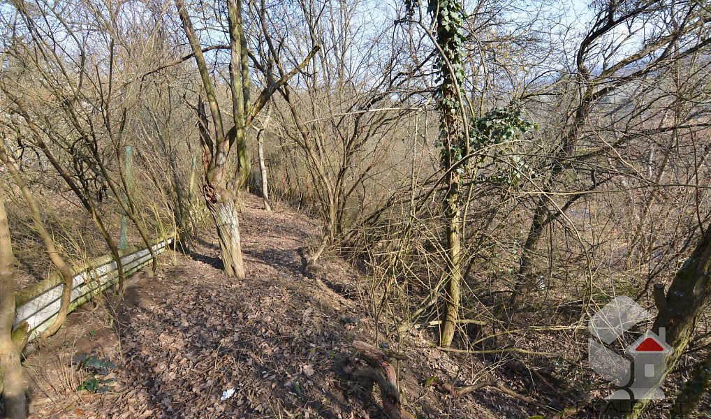 Prodej zahrady 207 m², Brno – náhled fotky 6