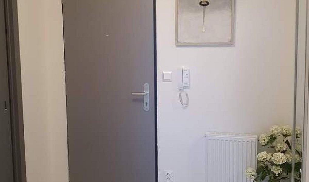 Pronájem bytu 2+kk 44 m², Olomouc – náhled fotky 11