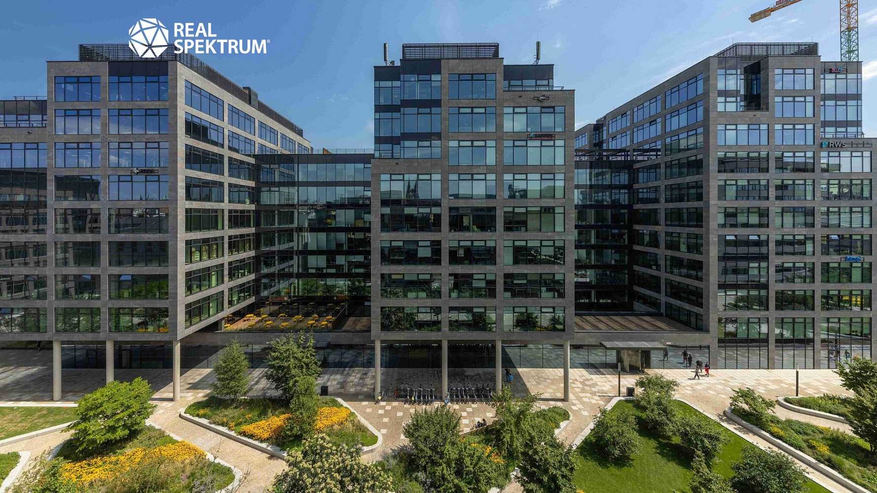 Pronájem kanceláře 893 m² – fotografie 4