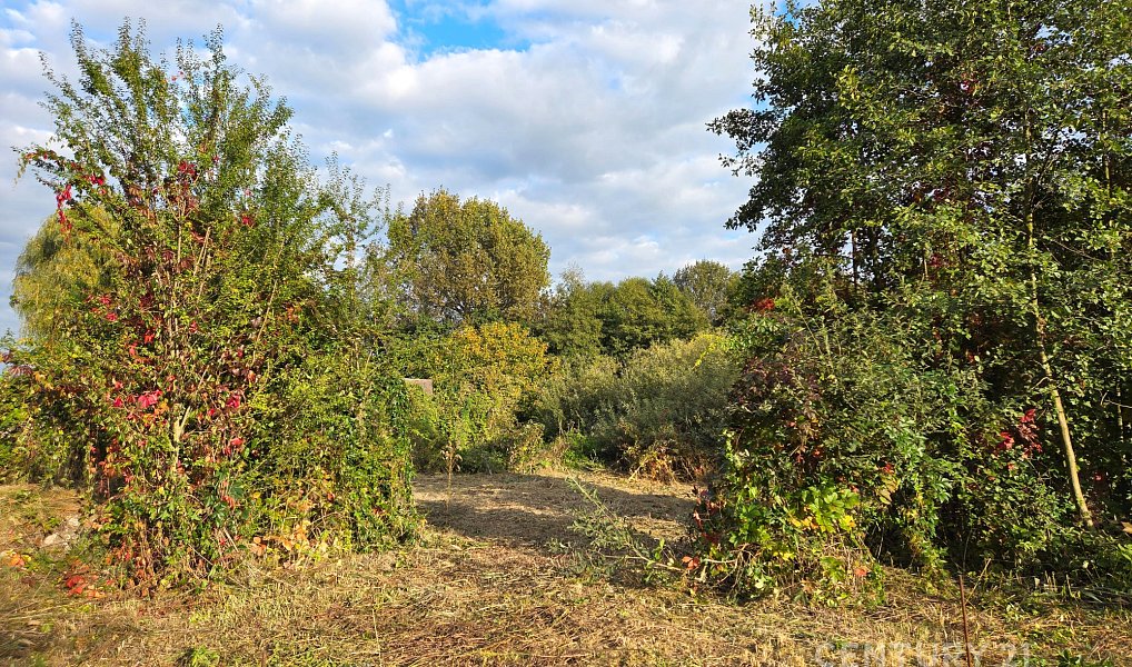Prodej domu 233 m² s pozemkem 1 748 m², Choťánky – náhled fotky 15