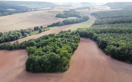 Prodej pole 26 115 m², Pozdeň - Hřešice, okres Kladno