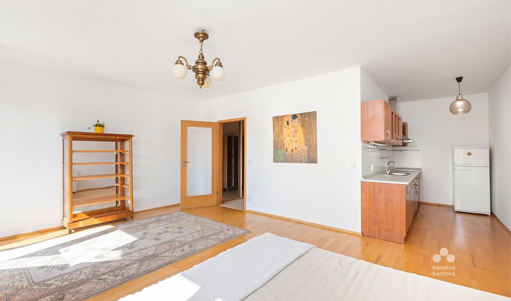 Pronájem bytu 1+kk 55 m², Praha – náhled fotky 10