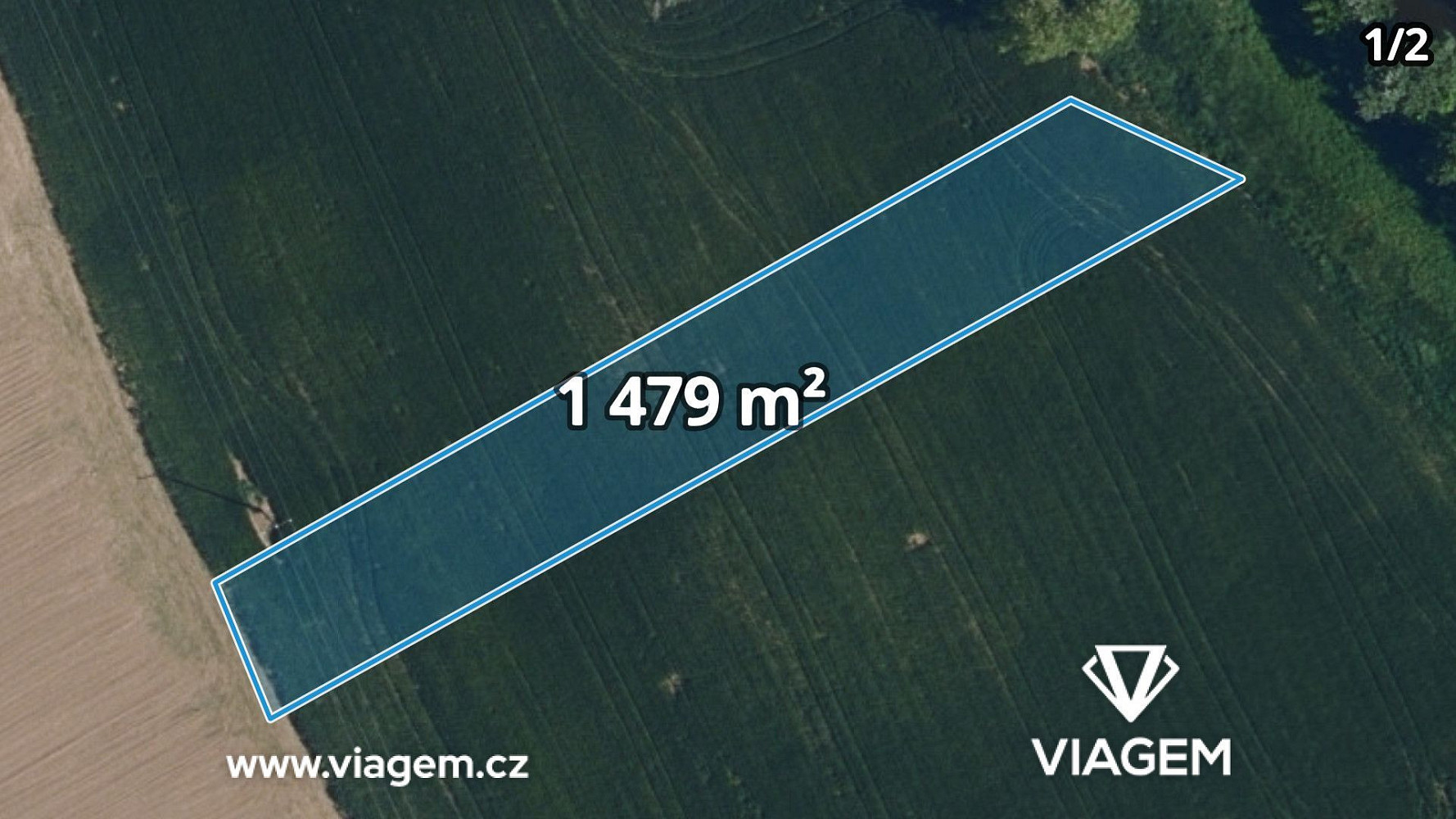 Prodej pole 1 131 m²