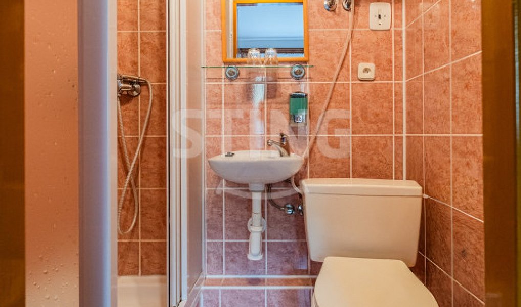Prodej ubytovacího objektu 813 m², Spálov – náhled fotky 20