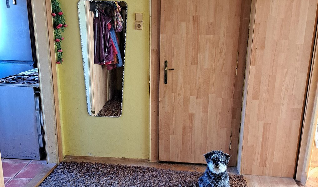 Prodej domu 190 m² s pozemkem 235 m², Prostějov – náhled fotky 13
