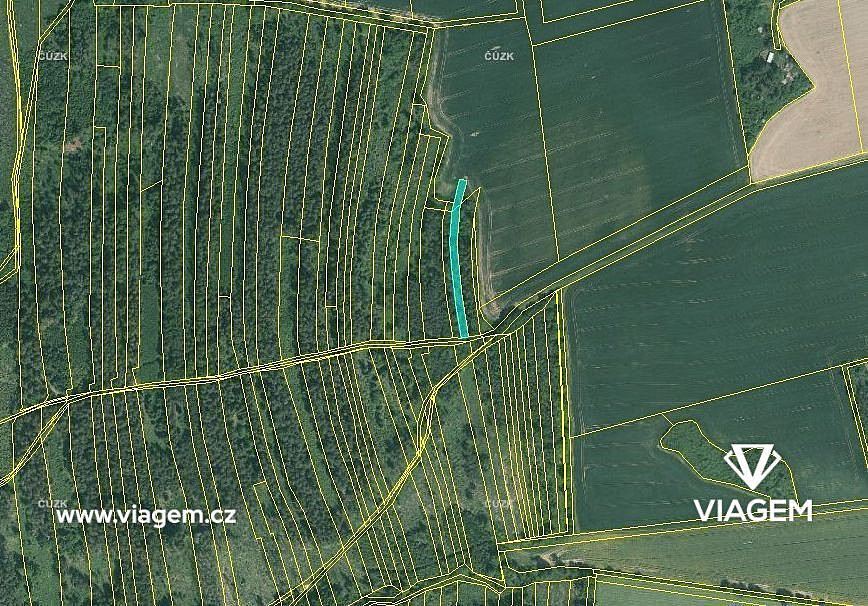Prodej lesa 1 490 m² - Widok 3