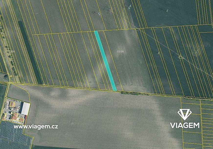 Prodej pole 4 043 m² – fotografie 3
