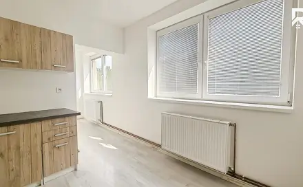 Pronájem bytu 1+1 35 m², Mlýnská, Hostomice, okres Teplice
