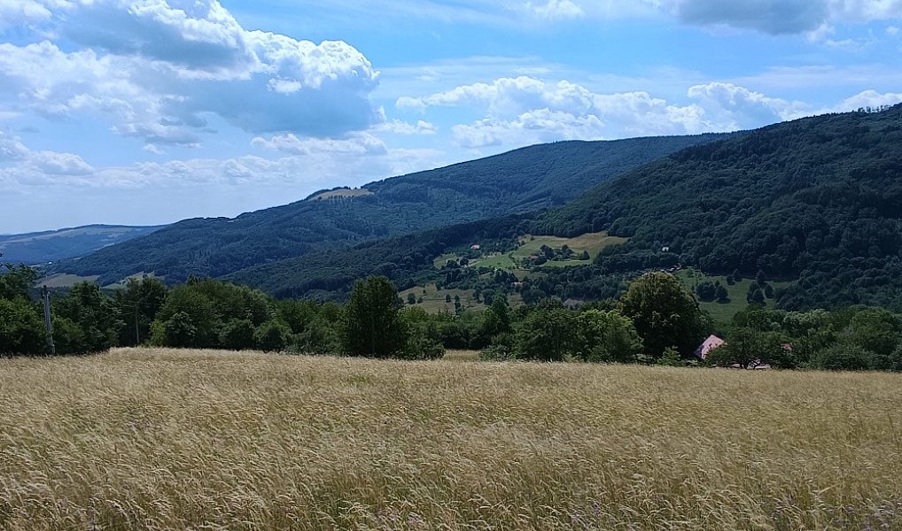 Prodej pozemku 42 844 m², Lopeník – náhled fotky 5
