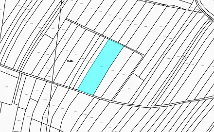 Dražba pole 6 008 m², Třebestovice