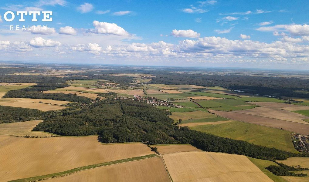 Prodej lesa 985 653 m², Žerčice – náhled fotky 14