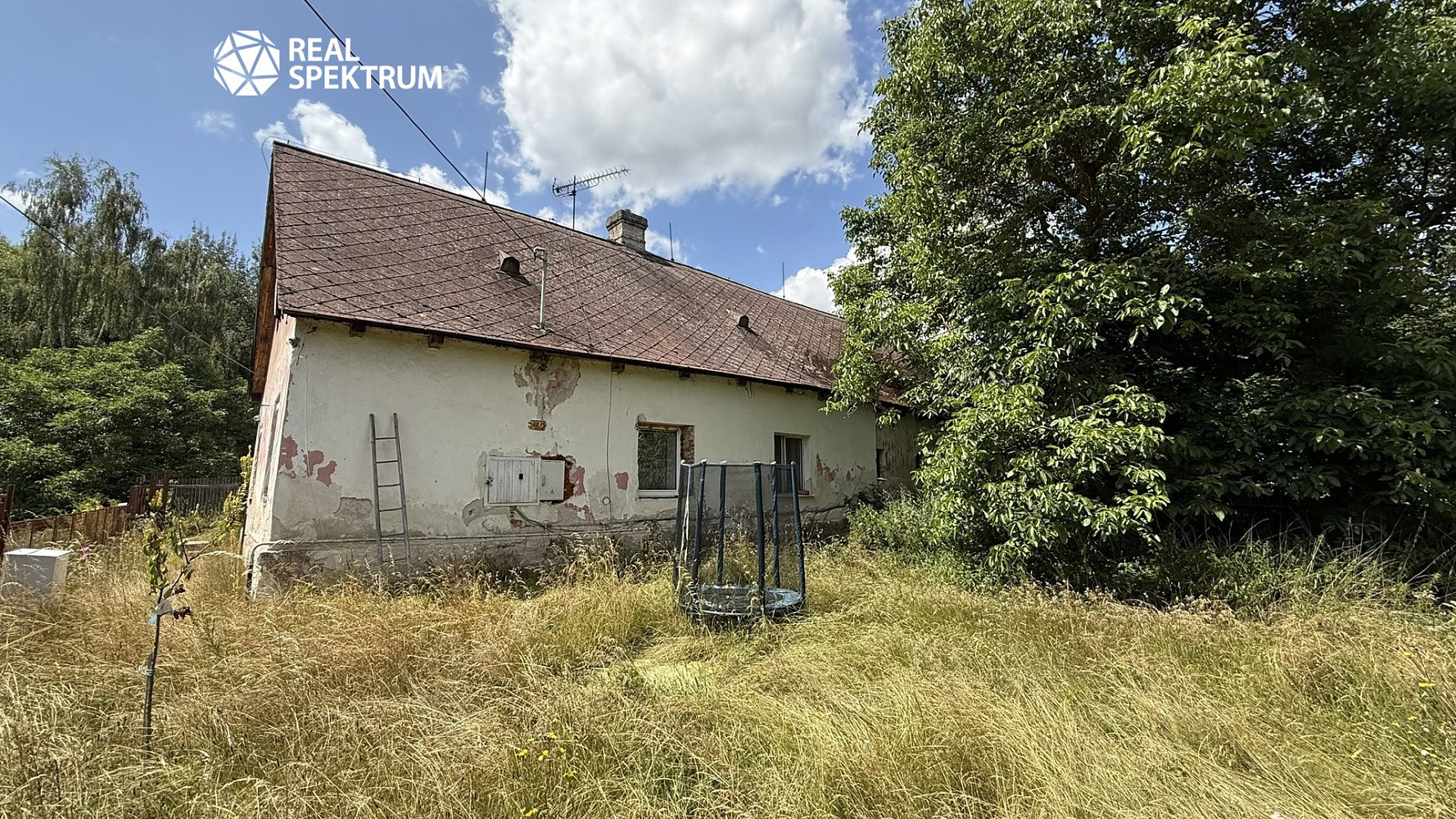 Prodej domu 250 m² s pozemkem 2 793 m² – fotografie 3