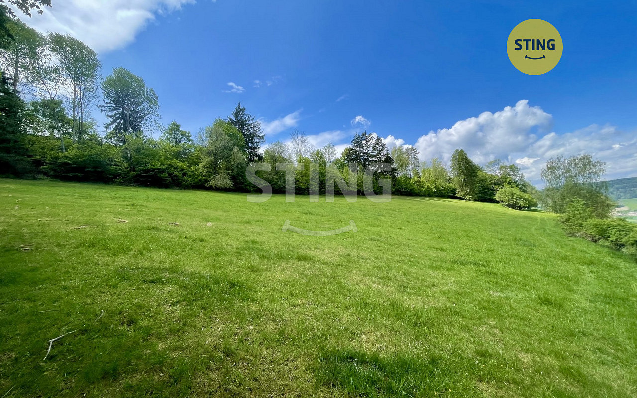 Prodej lesa 16 440 m²