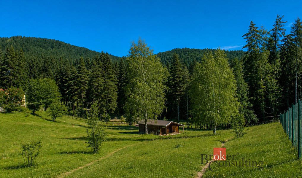 Prodej stavebního pozemku 1 745 m², Nejdek – náhled fotky 6