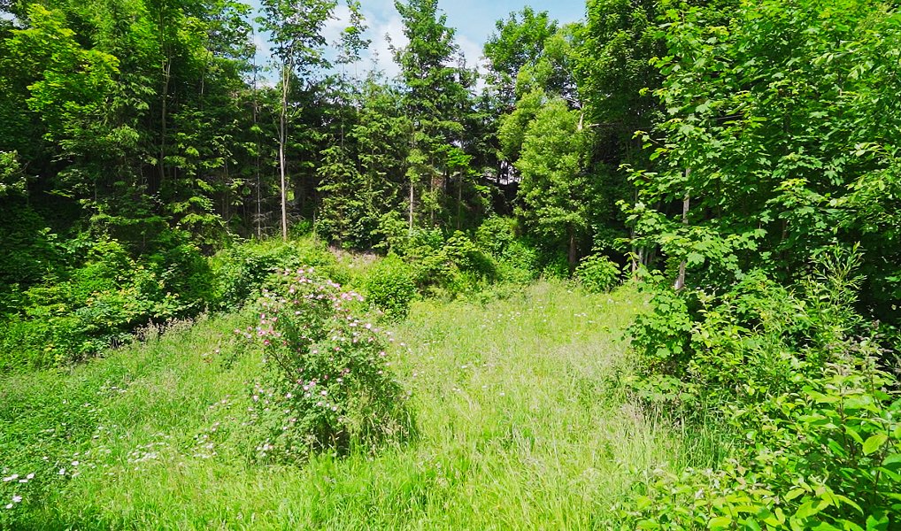 Prodej stavebního pozemku 1 280 m², Poniklá – náhled fotky 6