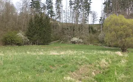 Dražba louky 2 759 m², Bačkovice