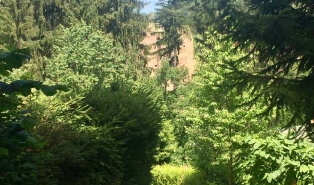Prodej stavebního pozemku 3 004 m², Kaplice – náhled fotky 3