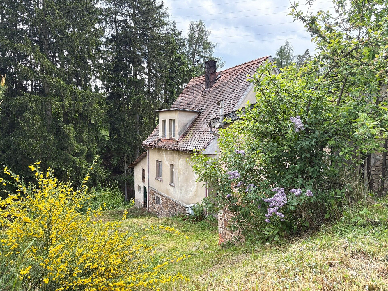 Prodej domu 200 m² s pozemkem 5 219 m² – fotografie 3