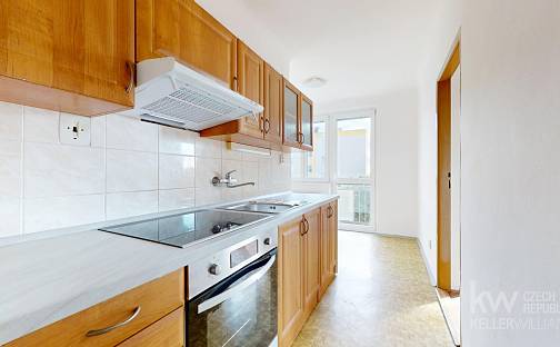 Pronájem bytu 2+1 57 m², Angela Kančeva, Tábor