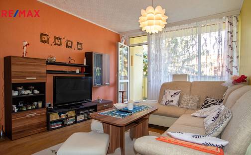 Pronájem bytu 2+1 66 m², Slovanská, Děčín - Děčín VI-Letná