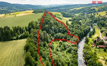 Prodej lesa 36 610 m², Peřimov, okres Semily