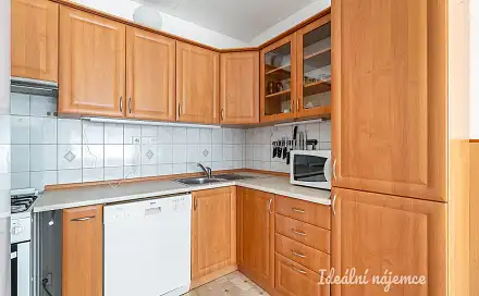 Pronájem bytu 3+1 67 m²