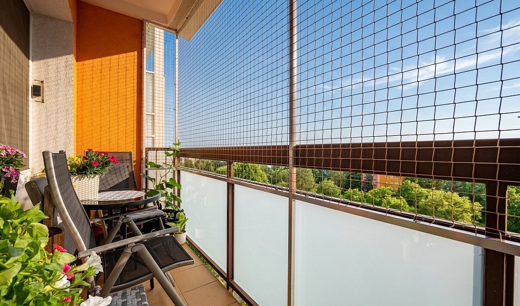 Prodej bytu 3+1 60 m², Brno – náhled fotky 14