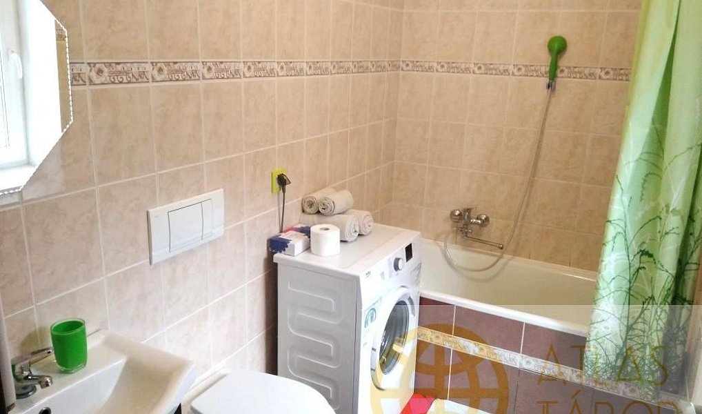 Pronájem bytu 2+kk 70 m², Opařany – náhled fotky 6