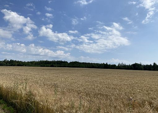 Fotka 19 z 19