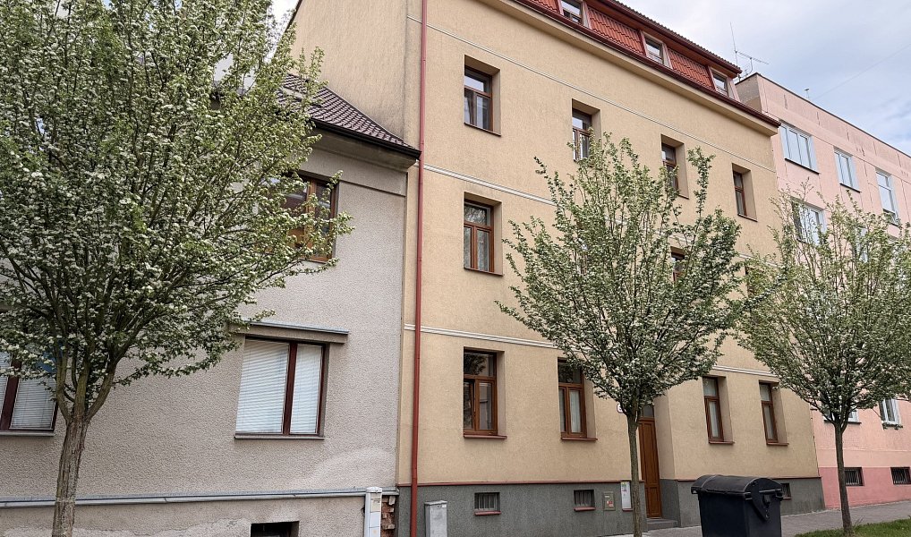 Pronájem bytu 3+kk 78 m², Plzeň – náhled fotky 12