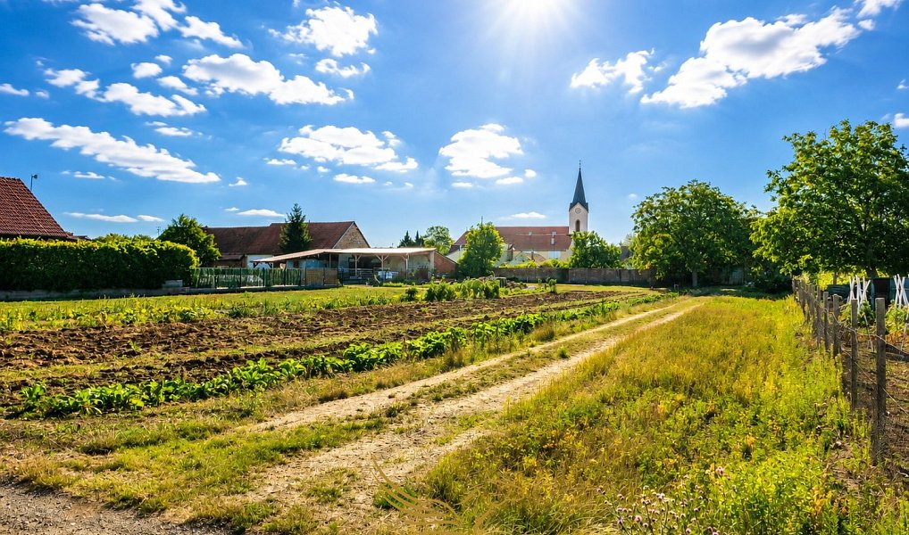 Prodej stavebního pozemku 943 m², Přísnotice – náhled fotky 2