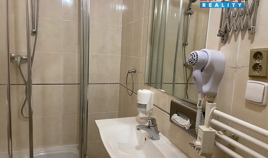Pronájem bytu 4+kk 110 m², Plzeň – náhled fotky 6