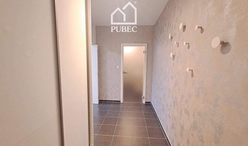 Pronájem bytu 2+kk 54 m², Plzeň – náhled fotky 20