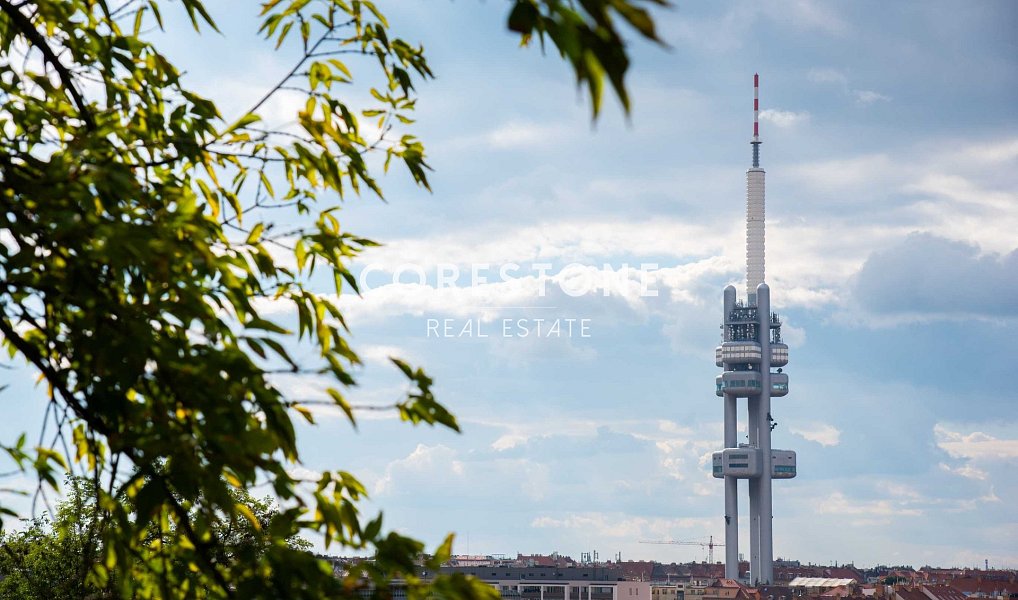 Prodej komerčního objektu (jiného typu) 59 m², Praha – náhled fotky 8